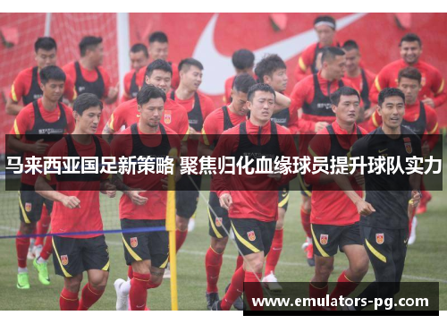 马来西亚国足新策略 聚焦归化血缘球员提升球队实力