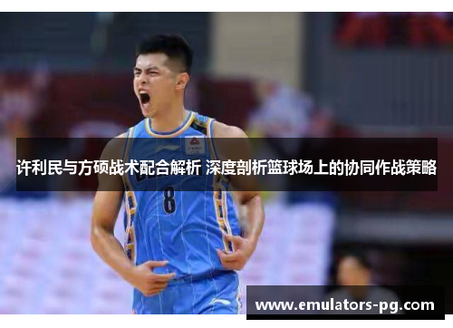许利民与方硕战术配合解析 深度剖析篮球场上的协同作战策略