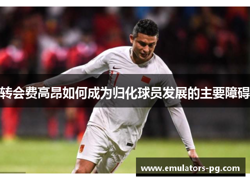转会费高昂如何成为归化球员发展的主要障碍