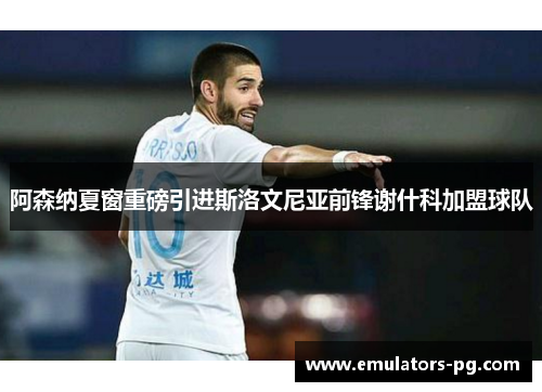 阿森纳夏窗重磅引进斯洛文尼亚前锋谢什科加盟球队